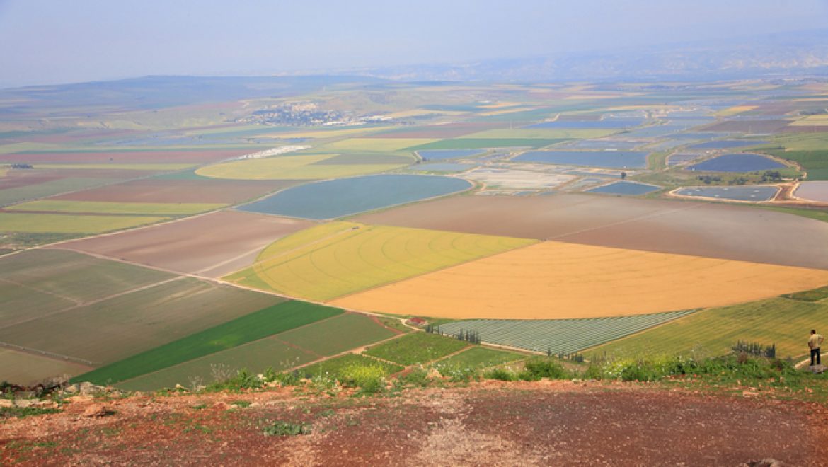 להיות ישראלי – דגלים לרכב